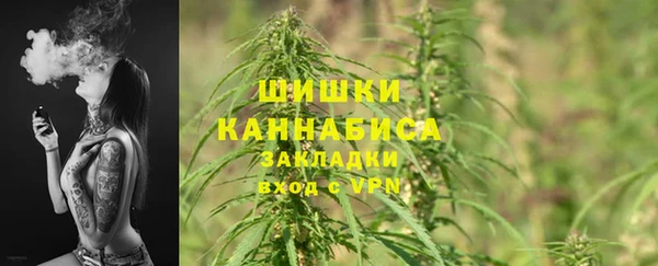 прущий лед Ельня