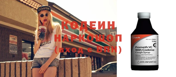 прущие грибы Елизово
