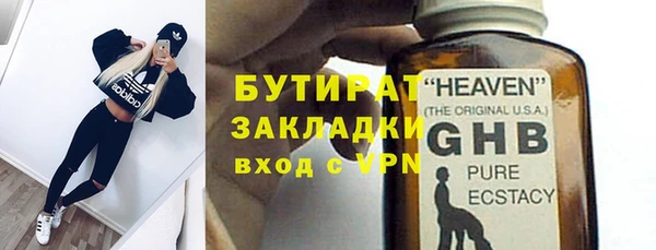 прущие грибы Елизово