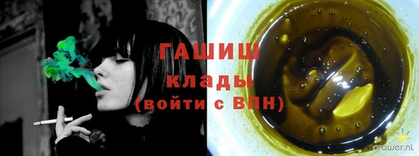 прущие грибы Елизово
