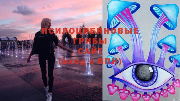 прущие грибы Елизово