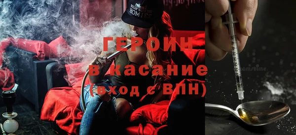 прущие грибы Елизово