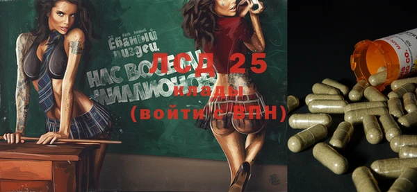 прущие грибы Елизово