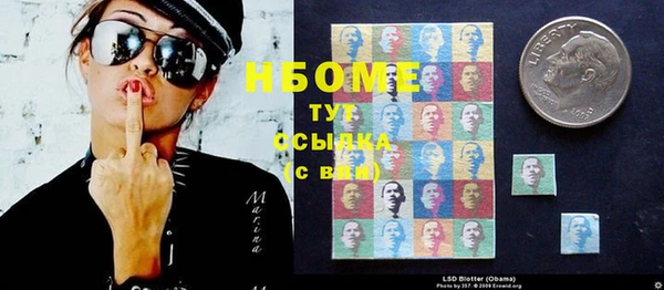 прущие грибы Елизово