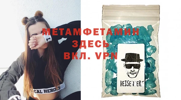 прущие грибы Елизово