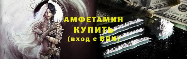 прущие грибы Елизово