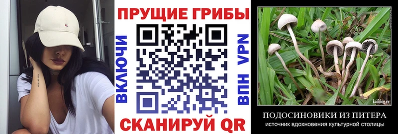 мориарти Telegram  Копейск  Галлюциногенные грибы мицелий  магазин   